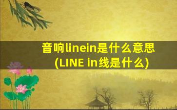 音响linein是什么意思(LINE in线是什么)